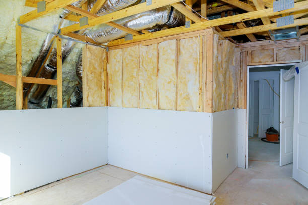 Best Insulation Repair Services  in Galena Park, TX
