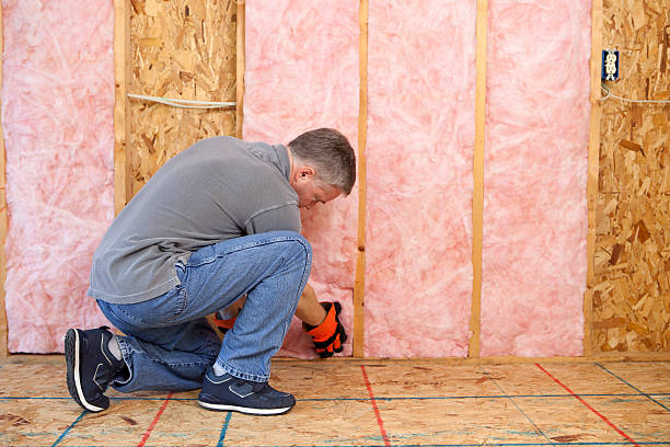 Best Crawl Space Insulation  in Galena Park, TX