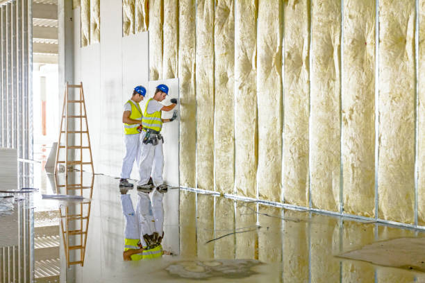 Best Affordable Insulation Services  in Galena Park, TX